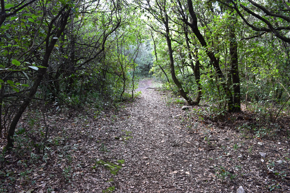 photo8
