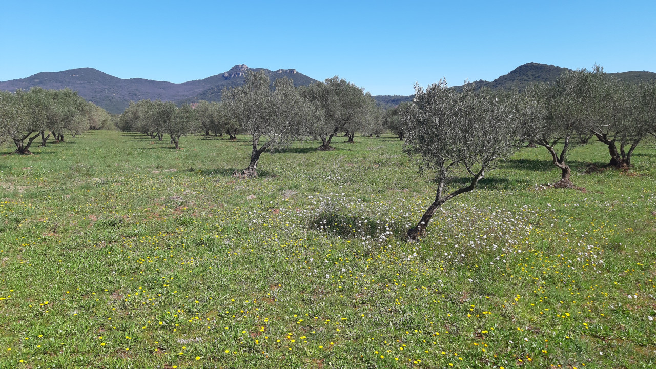 photo10
