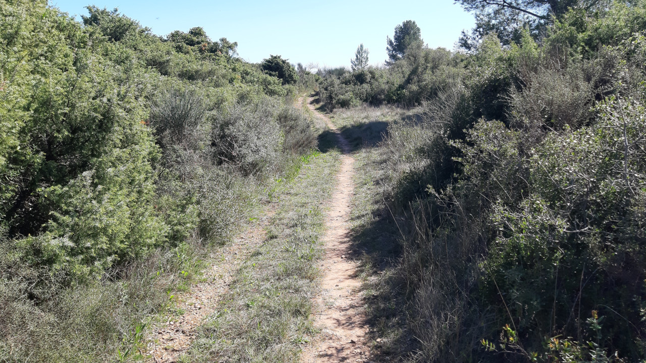 photo20