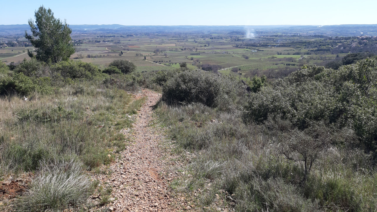 photo21