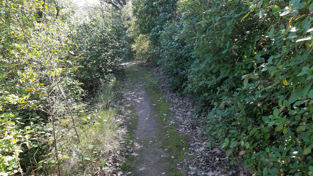 photo24