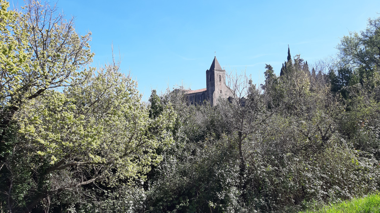 photo25