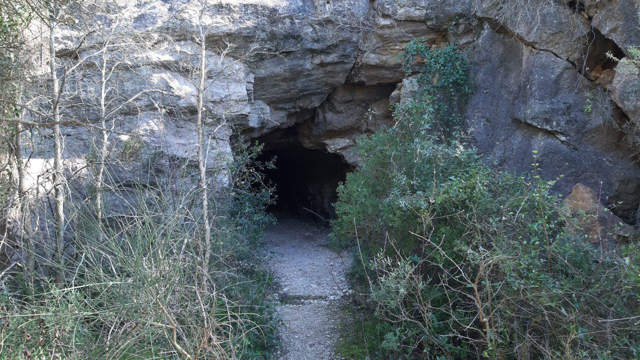 photo28