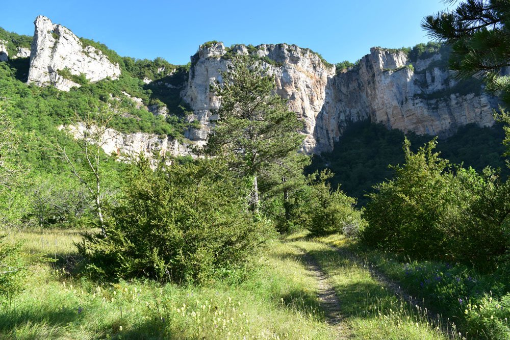 photo1