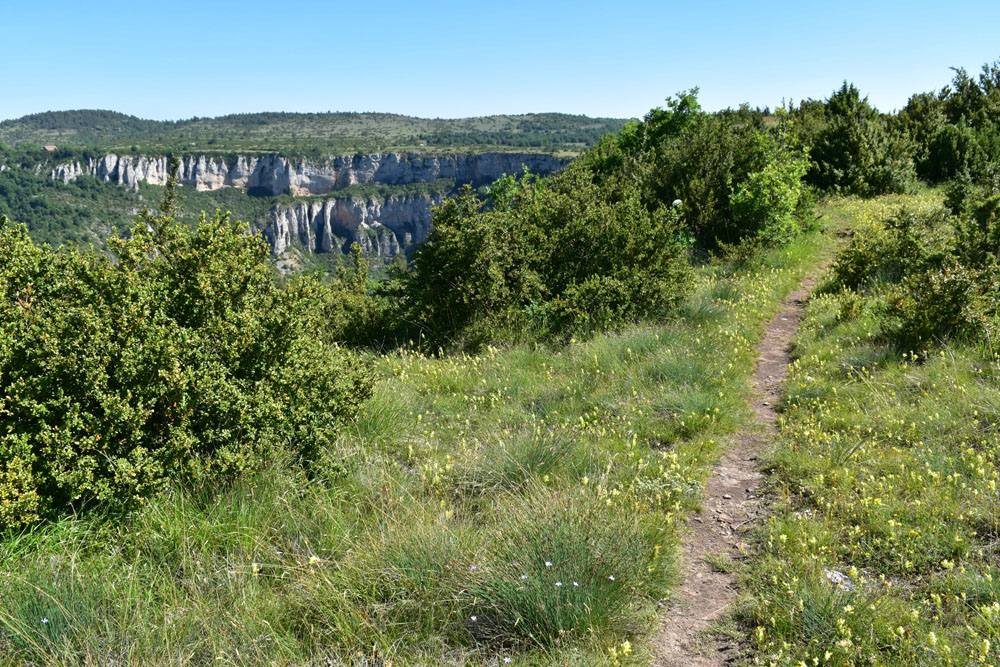 photo14