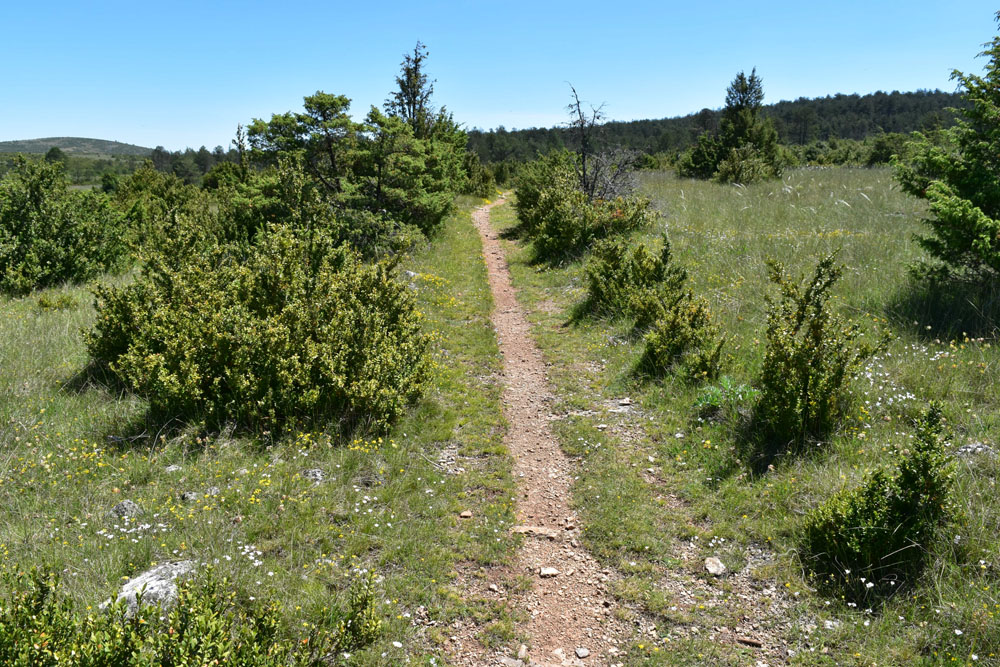 photo22
