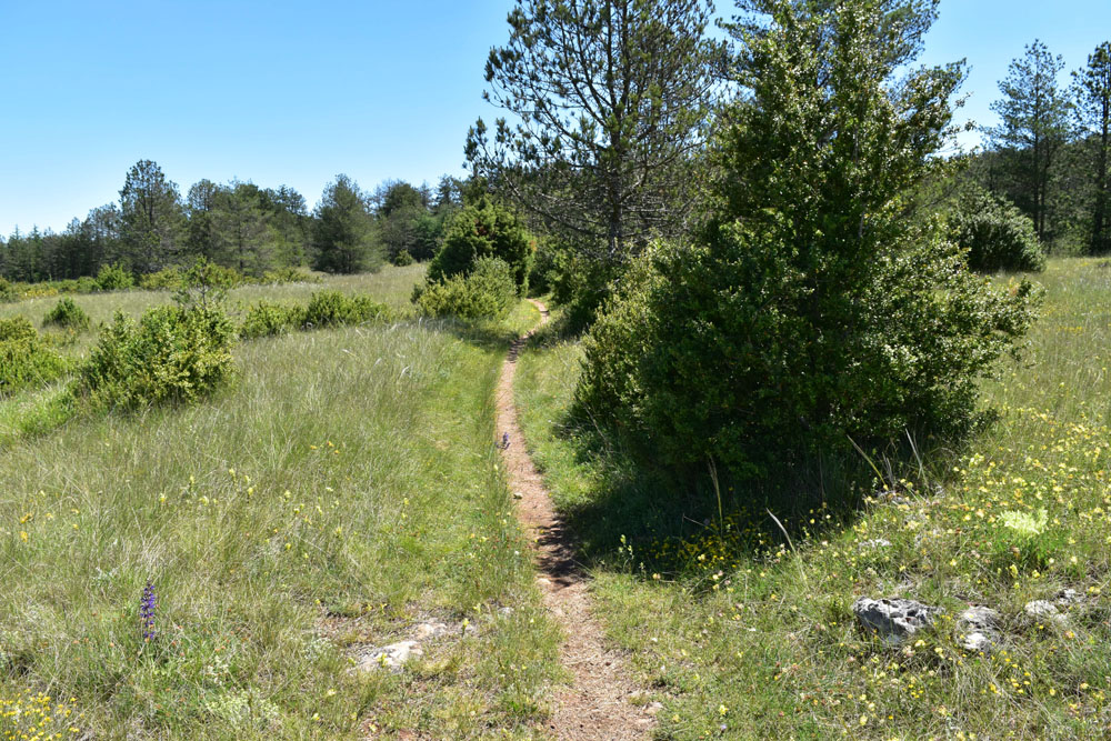 photo23