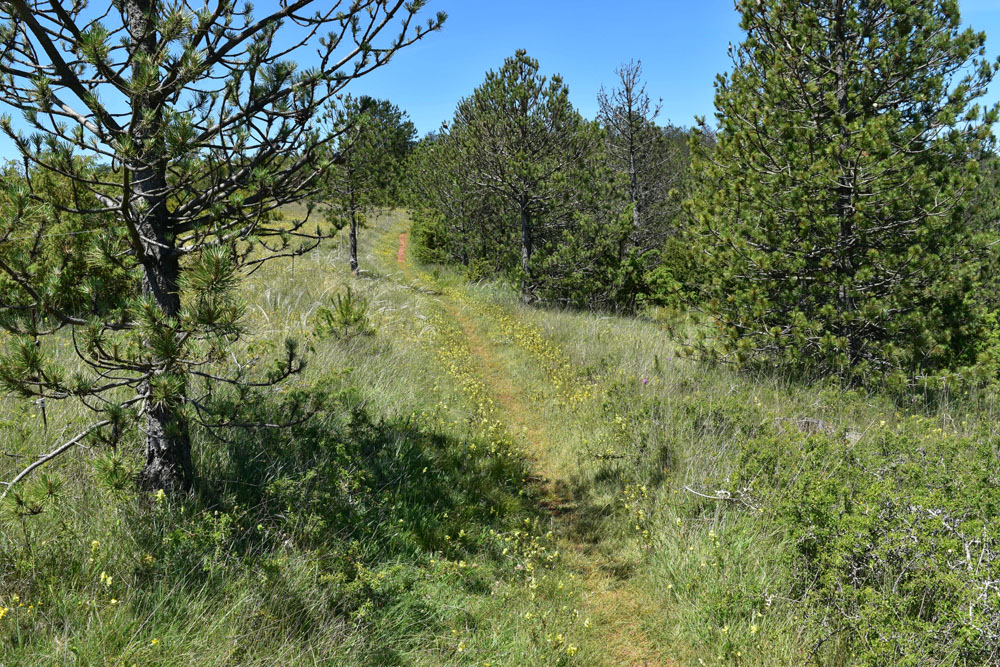 photo24