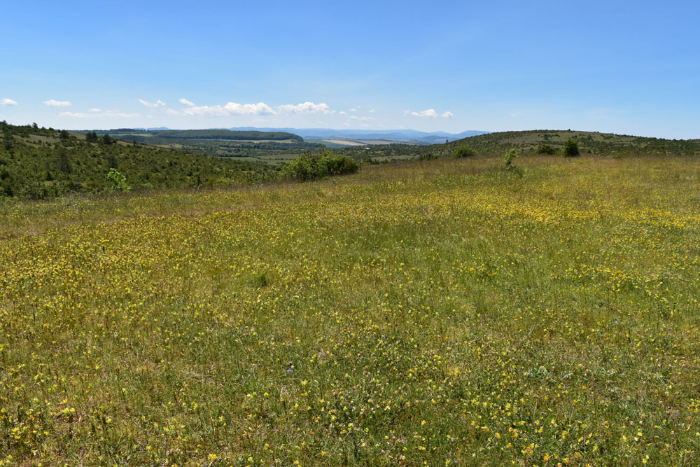 photo25