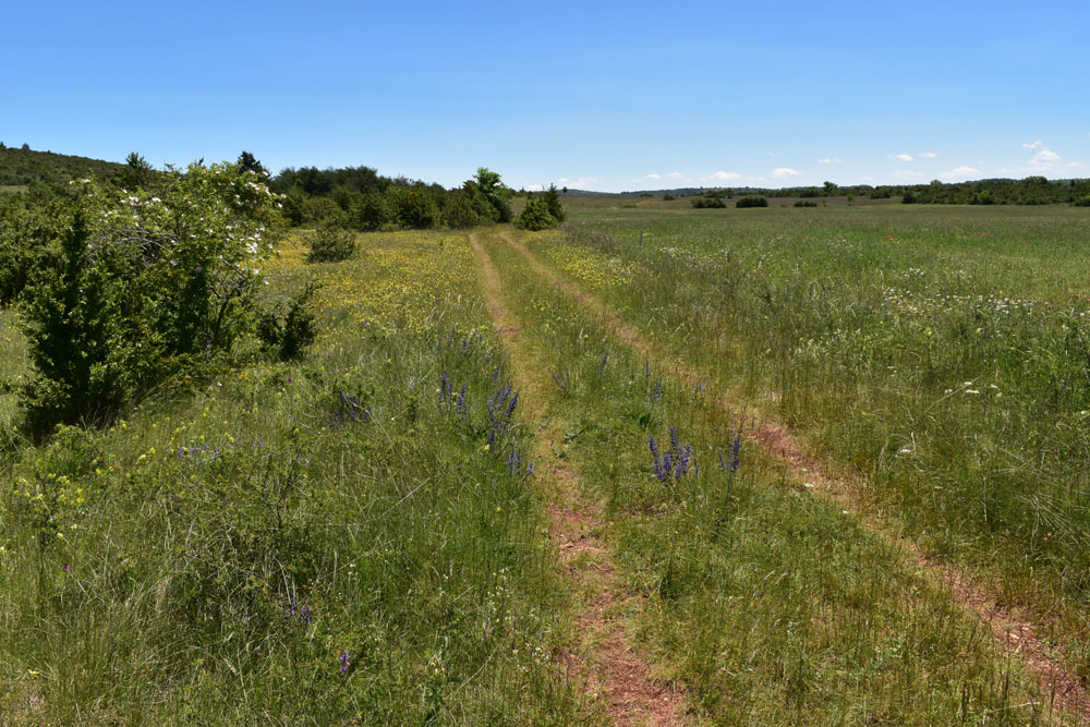 photo26