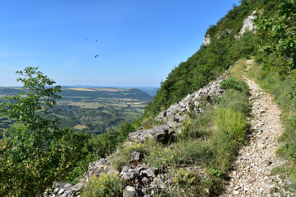 photo4