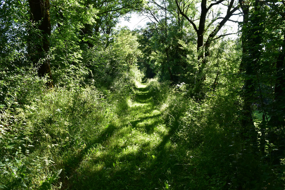 photo8